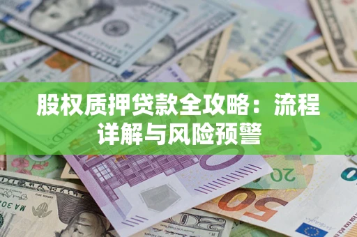 北京股权质押贷款全攻略：流程详解与风险预警