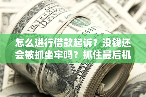 北京怎么进行借款起诉？没钱还会被抓坐牢吗？抓住最后机会！