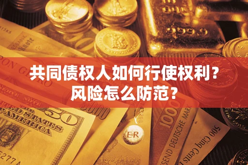 北京共同债权人如何行使权利？风险怎么防范？