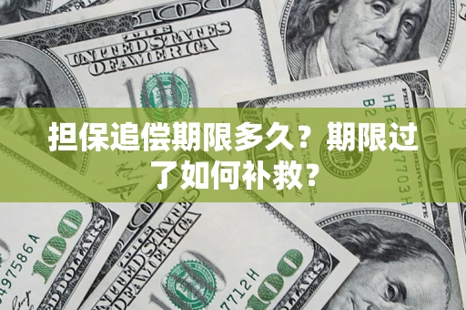 北京担保追偿期限多久？期限过了如何补救？