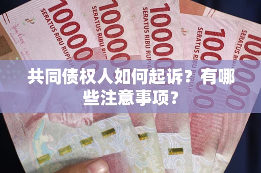 北京共同债权人如何起诉？有哪些注意事项？